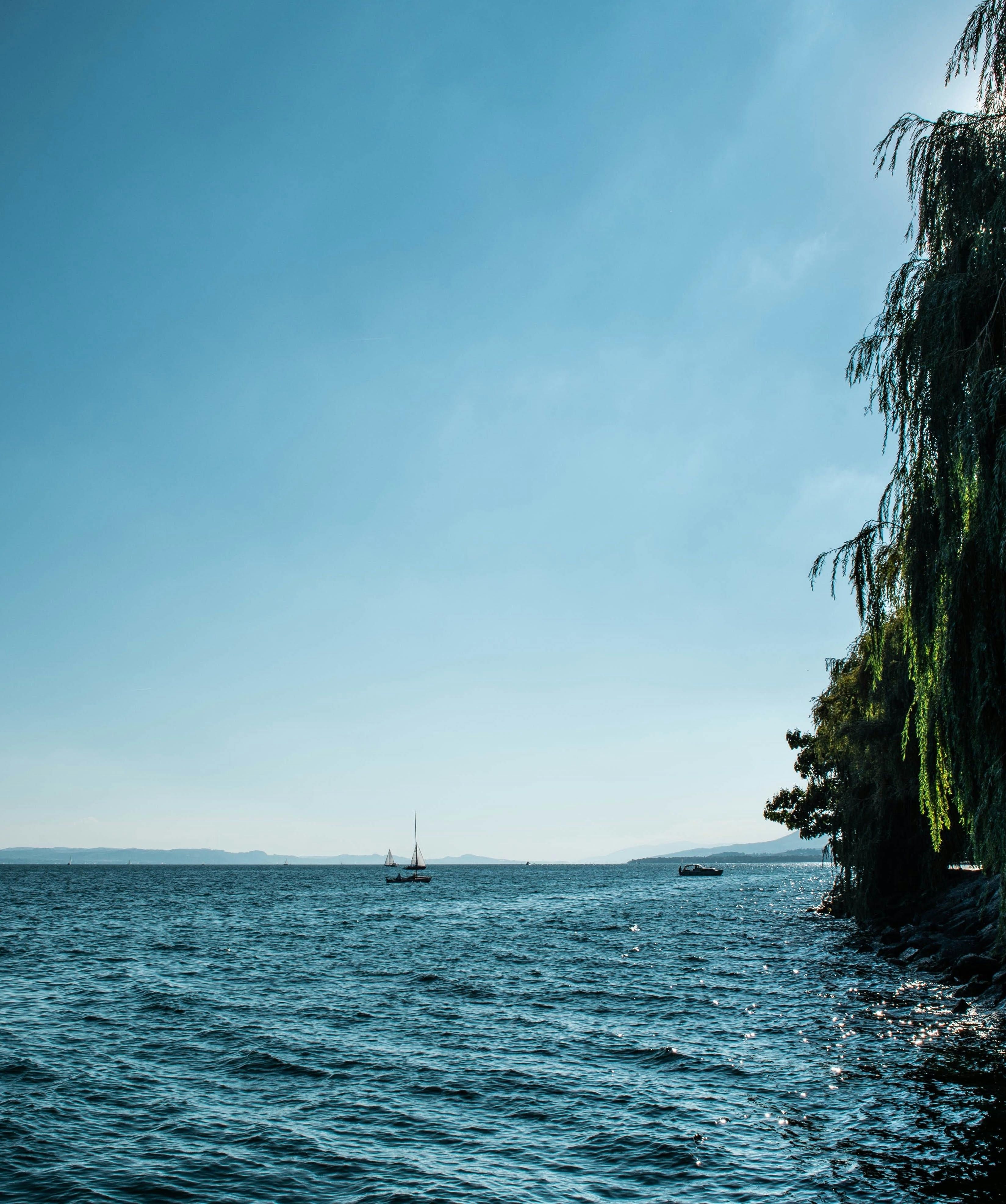 Houses for sale, Apartments for sale in Switzerland ReadAdvisor