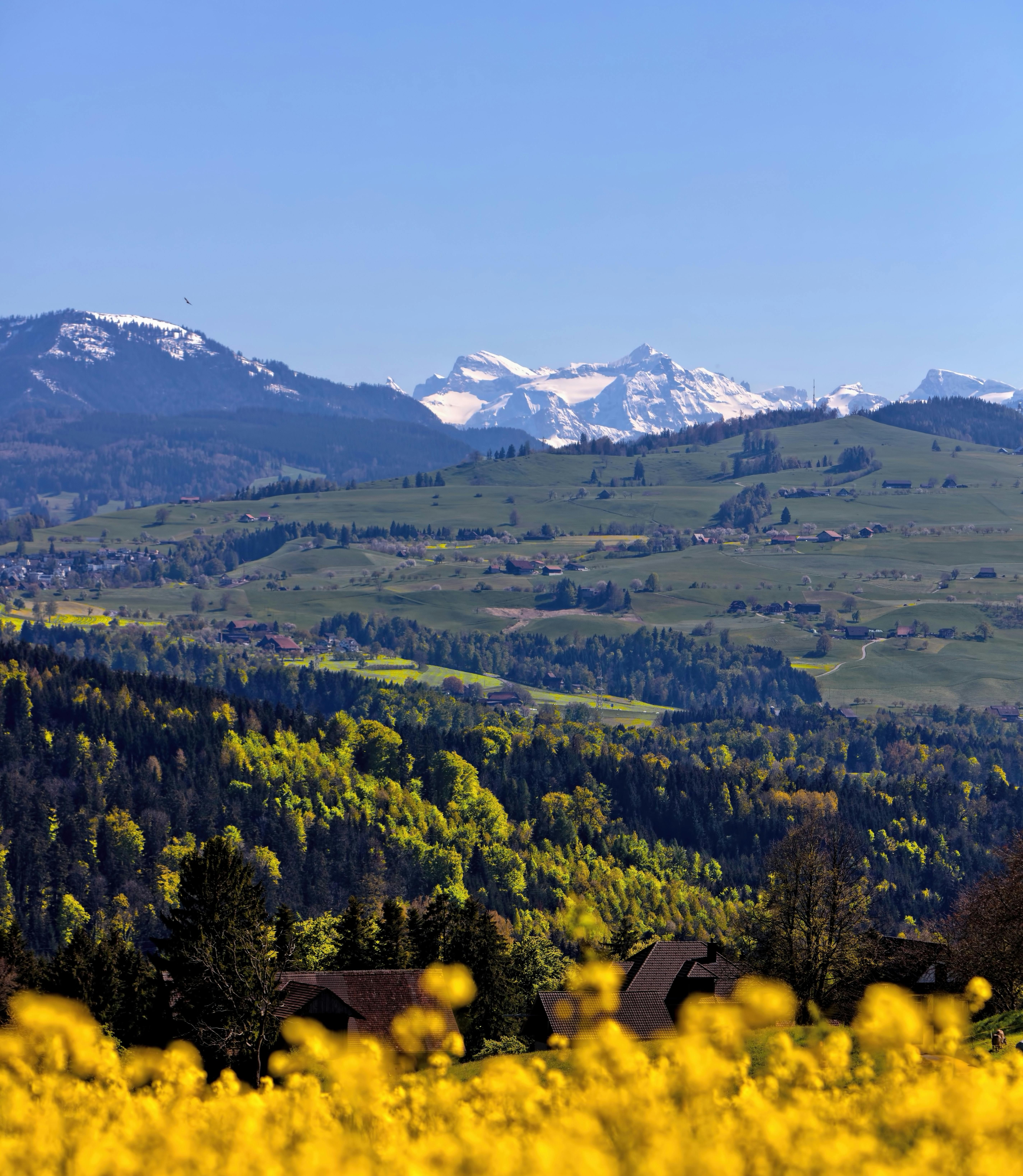 Case in vendita, Appartamenti in vendita in Svizzera ...